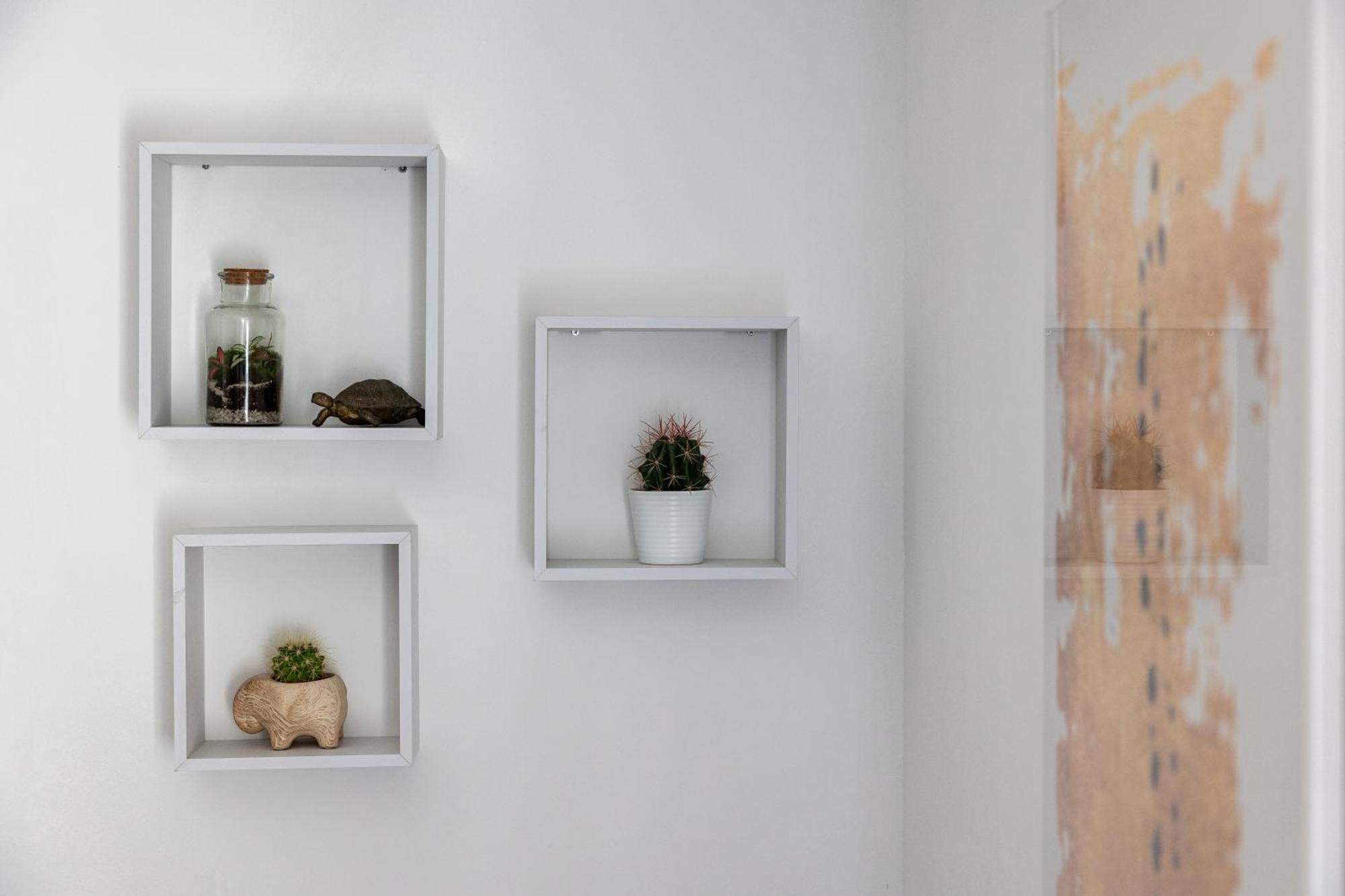 Dubrovnik Domus Apartment Ngoại thất bức ảnh